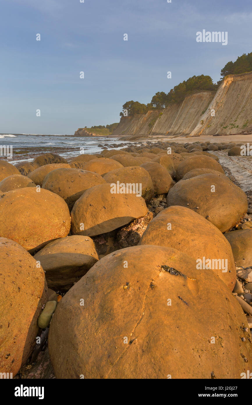 Bowling Ball Beach near Point Arena, California, USA Stock Photo Alamy