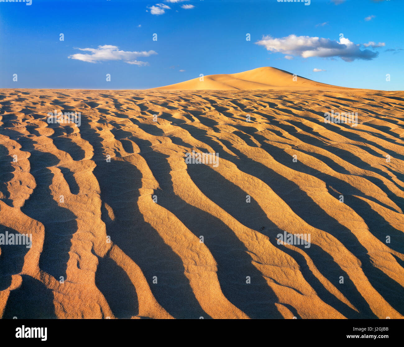 USA, California, Dumont Dunes, Patterns in the dunes. (Large format