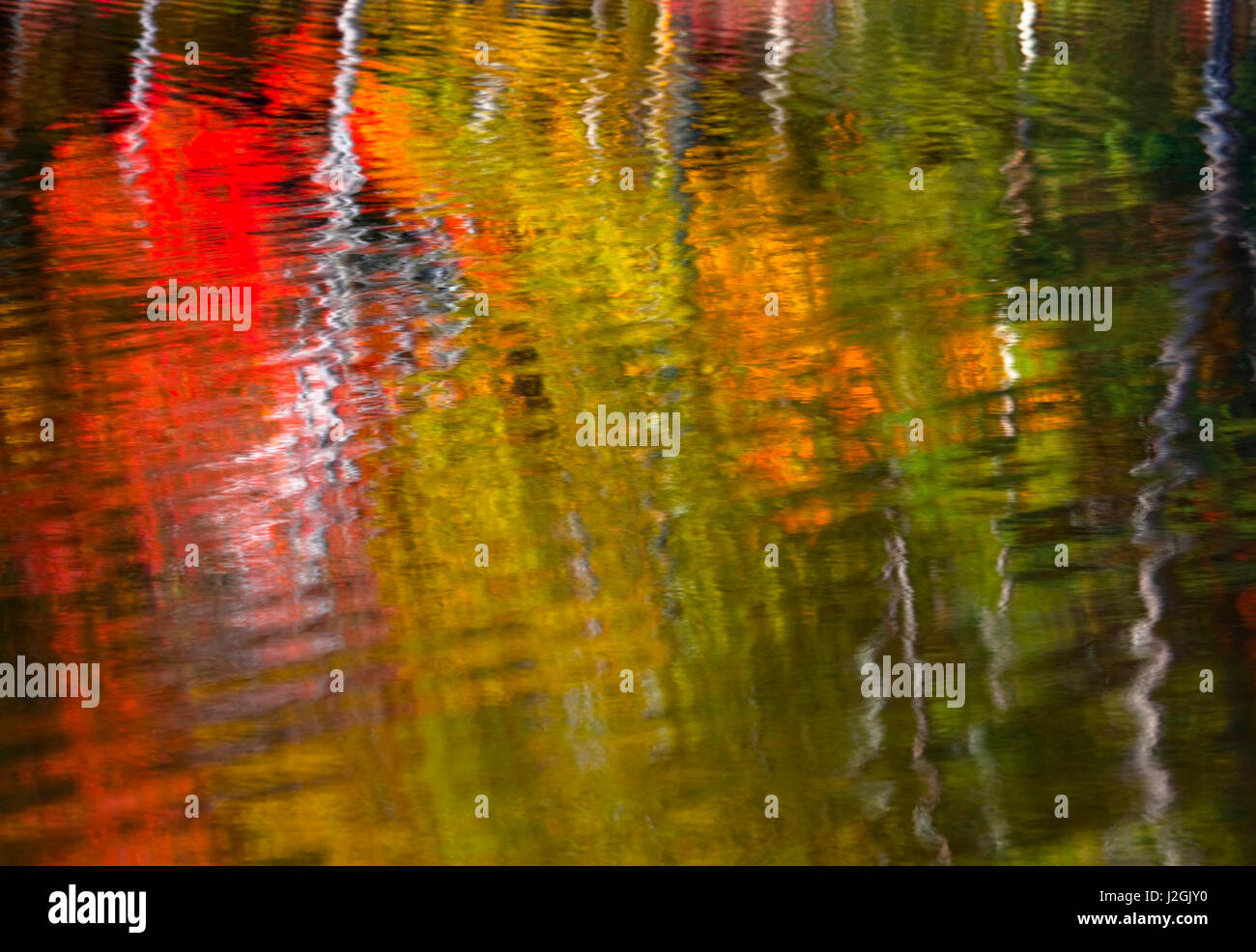 Rippled reflections of fall foliage in Blackledge Pond as the wind blew the water Stock Photo