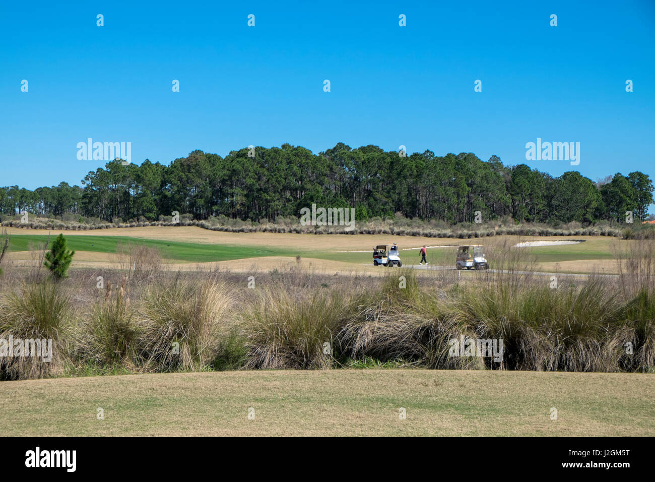 New smyrna florida bay hires stock photography and images Alamy