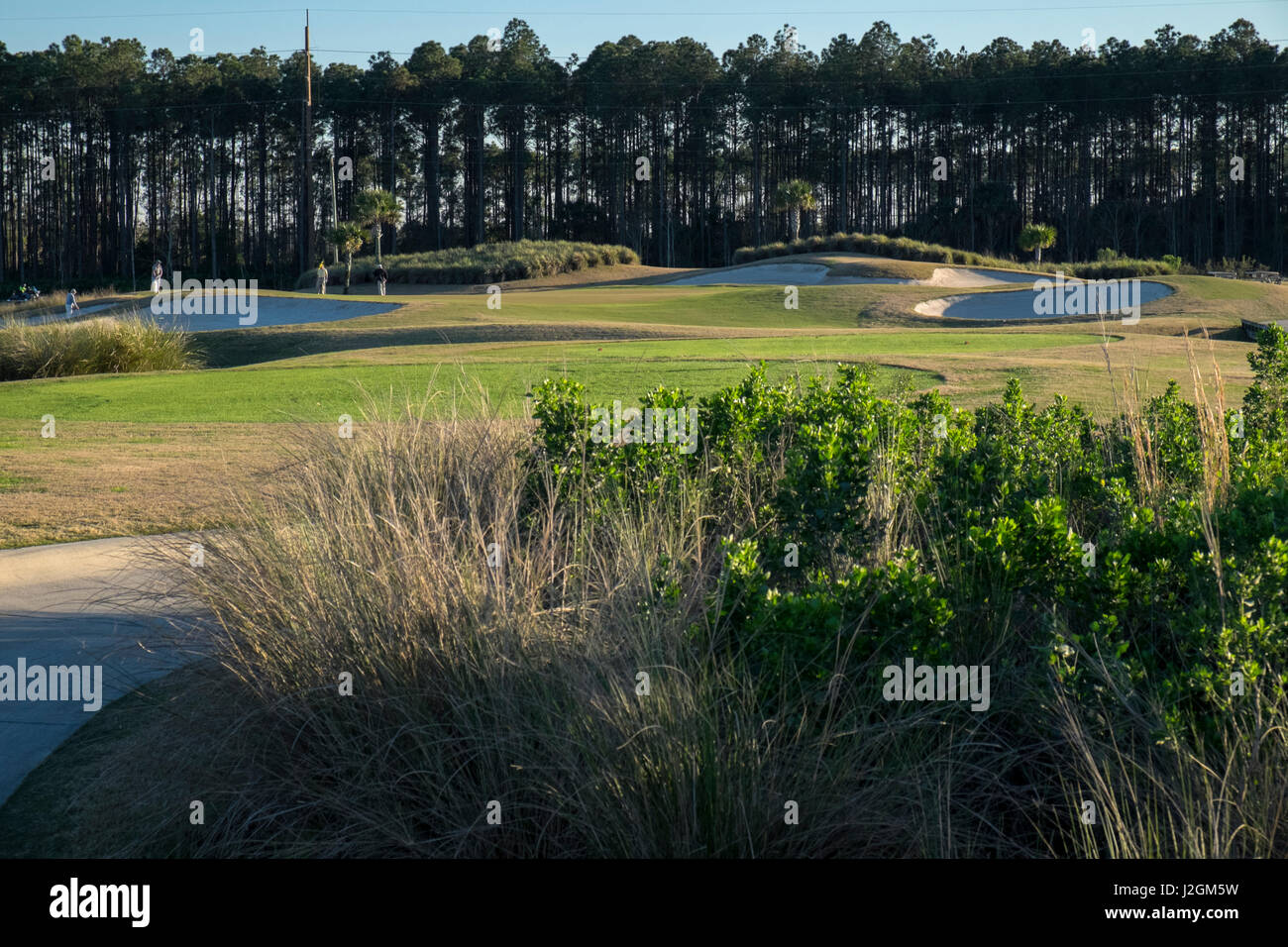 New smyrna florida bay hires stock photography and images Alamy
