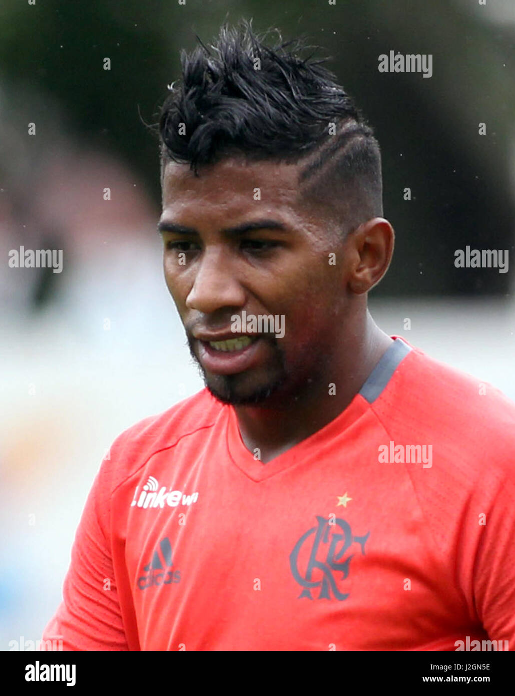 Brazilian Football League Serie A / ( Clube de Regatas do Flamengo 