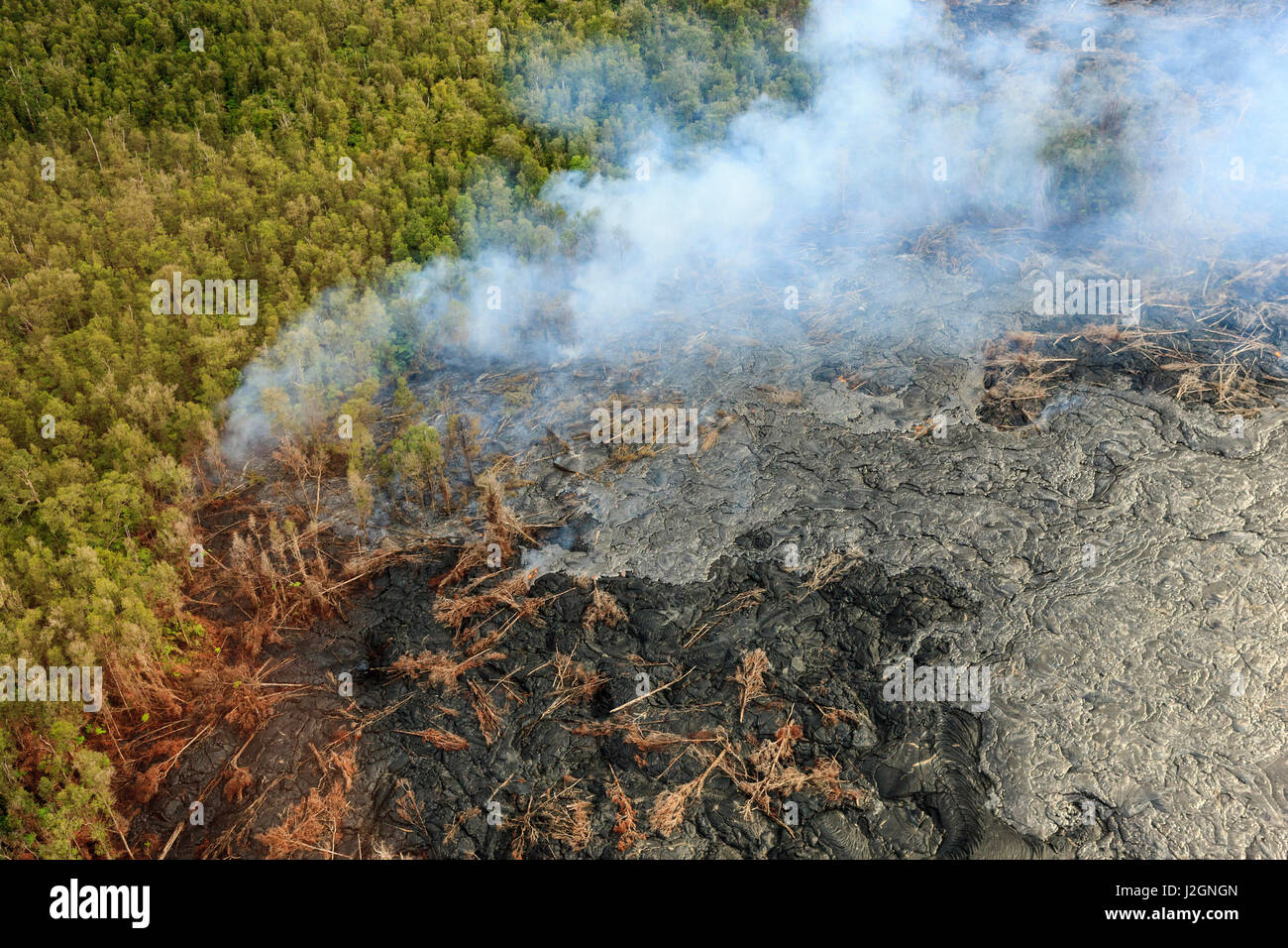Aerial. Smoke from Maunaloa Caldron. Live Lava flow entering forest and ...