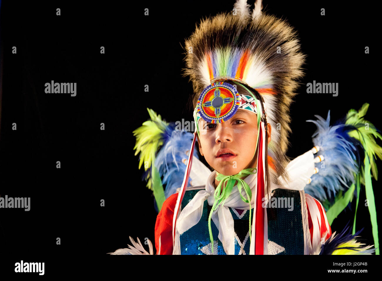 Fancy bustle dancer Pacer Allan Tobey (Assiniboine, Sioux) dressed in pow wow regalia of colorful feathered bustles, apron and roach headdress holds two dance sticks with streamers. Stock Photo
