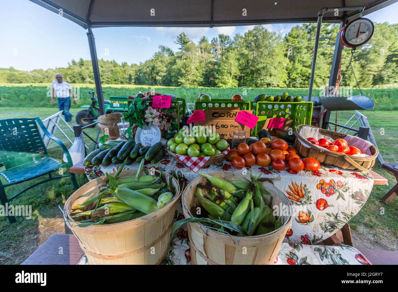 Vegetables at a farm stand in Epping, New Hampshire Stock Photo Alamy