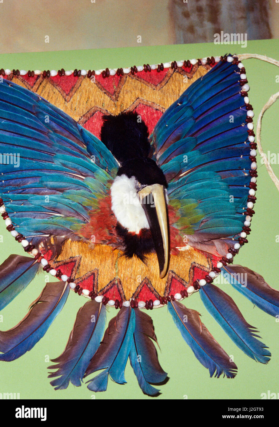 Colorful feather ceremonial dance apron with exotic bird head. Stock Photo