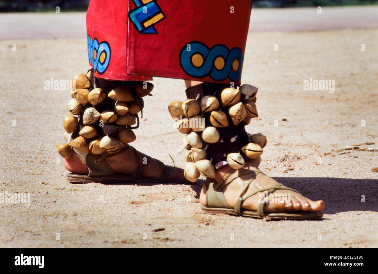 Aztec leg rattles made from nut shells filled with small stones and sewn onto leather that are worn by traditional dancers during ceremonial dances Stock Photo