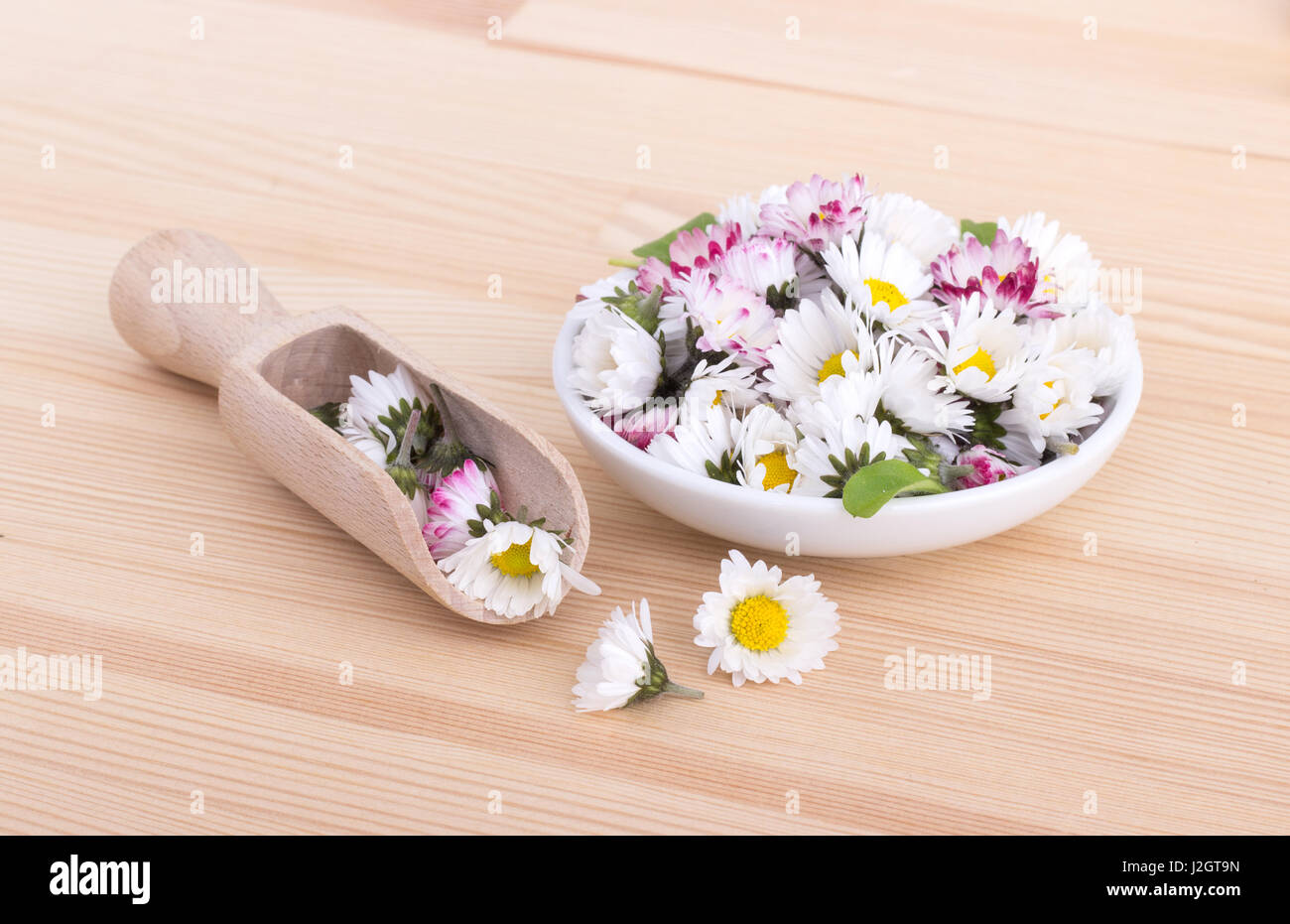 a Bowl of daisy blossom on a wooden ground Stock Photo