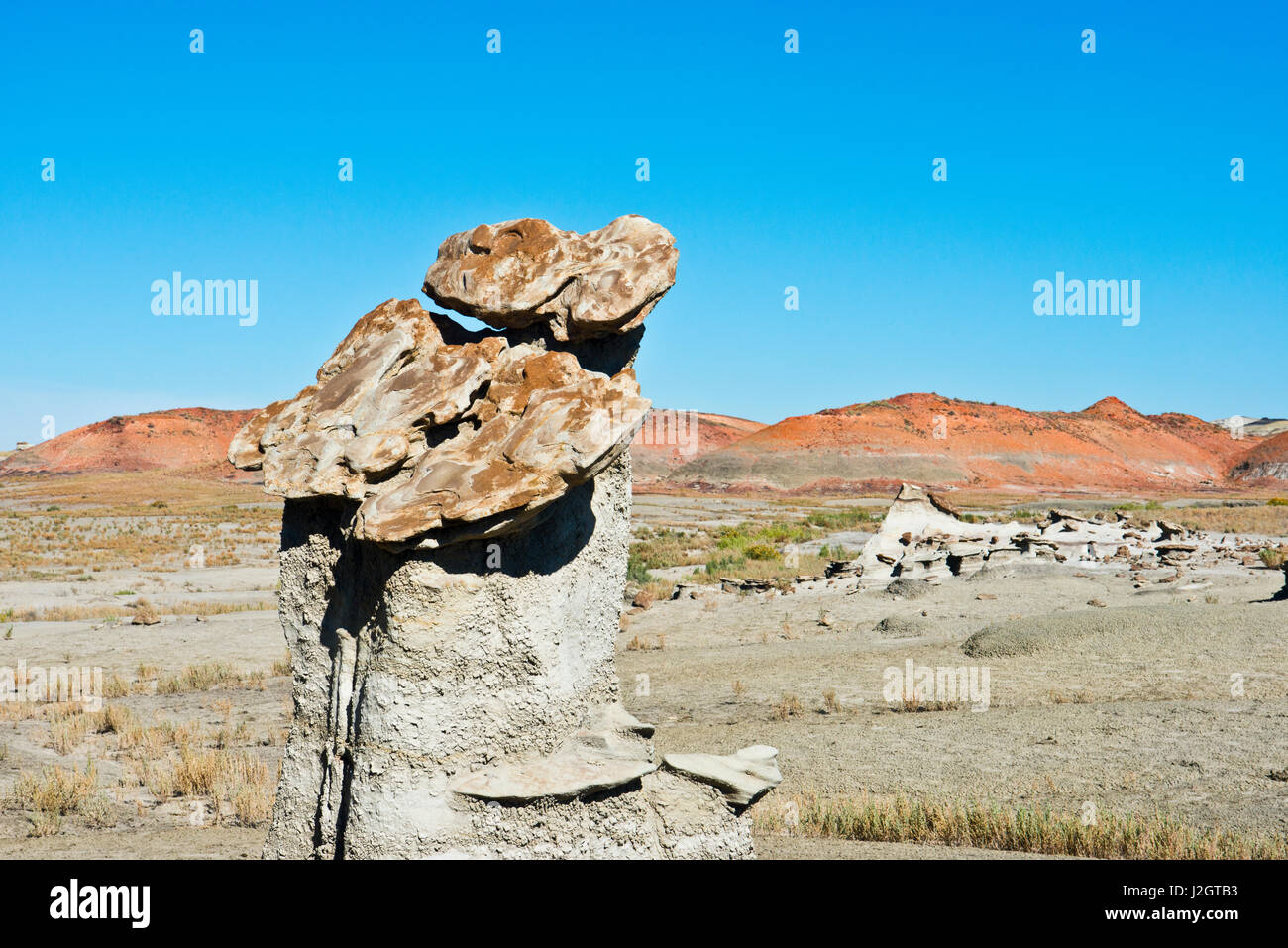 USA, New Mexico, Farmington, Bisti De-Na-Zin Wilderness, true desert wilderness (Large format sizes available) Stock Photo