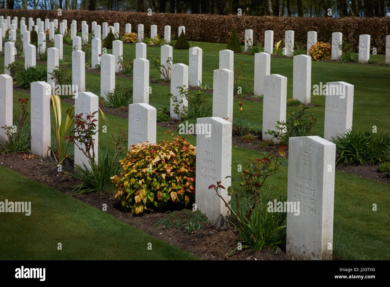 Gravestones in the Cannock Chase Commonwealth War Cemetary. Staffordshire. UK Stock Photo