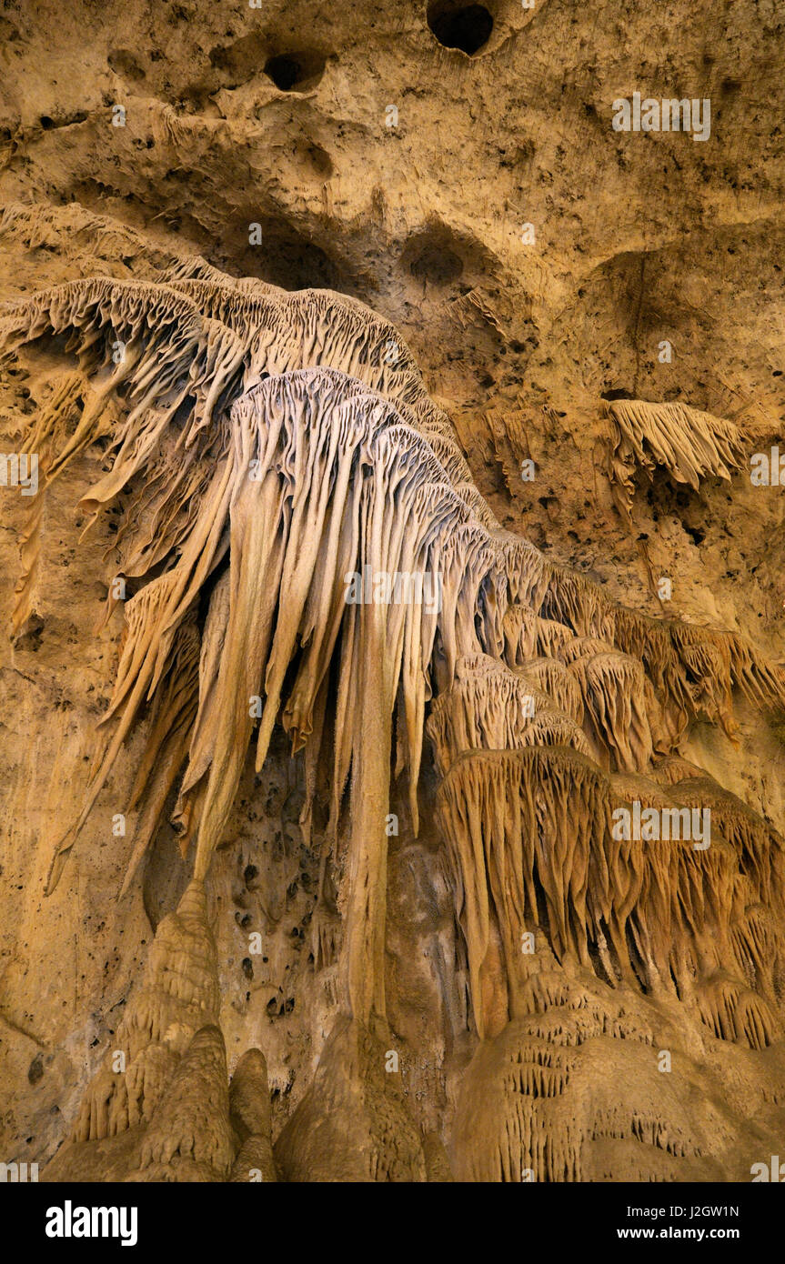 USA, New Mexico, Eddy County, Carlsbad Caverns National Park. Calcite ...