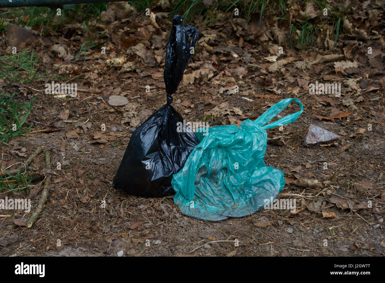Dog waste bags left at side of footpath on Cannock Chase. Staffordshire