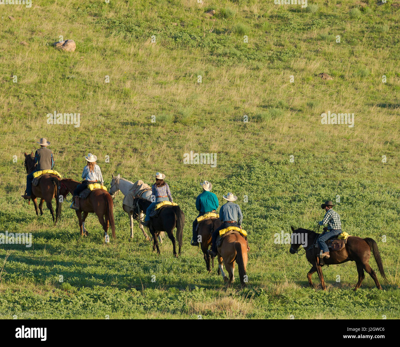 Philmont Cavalcades ride horses through the rugged mountain wilderness