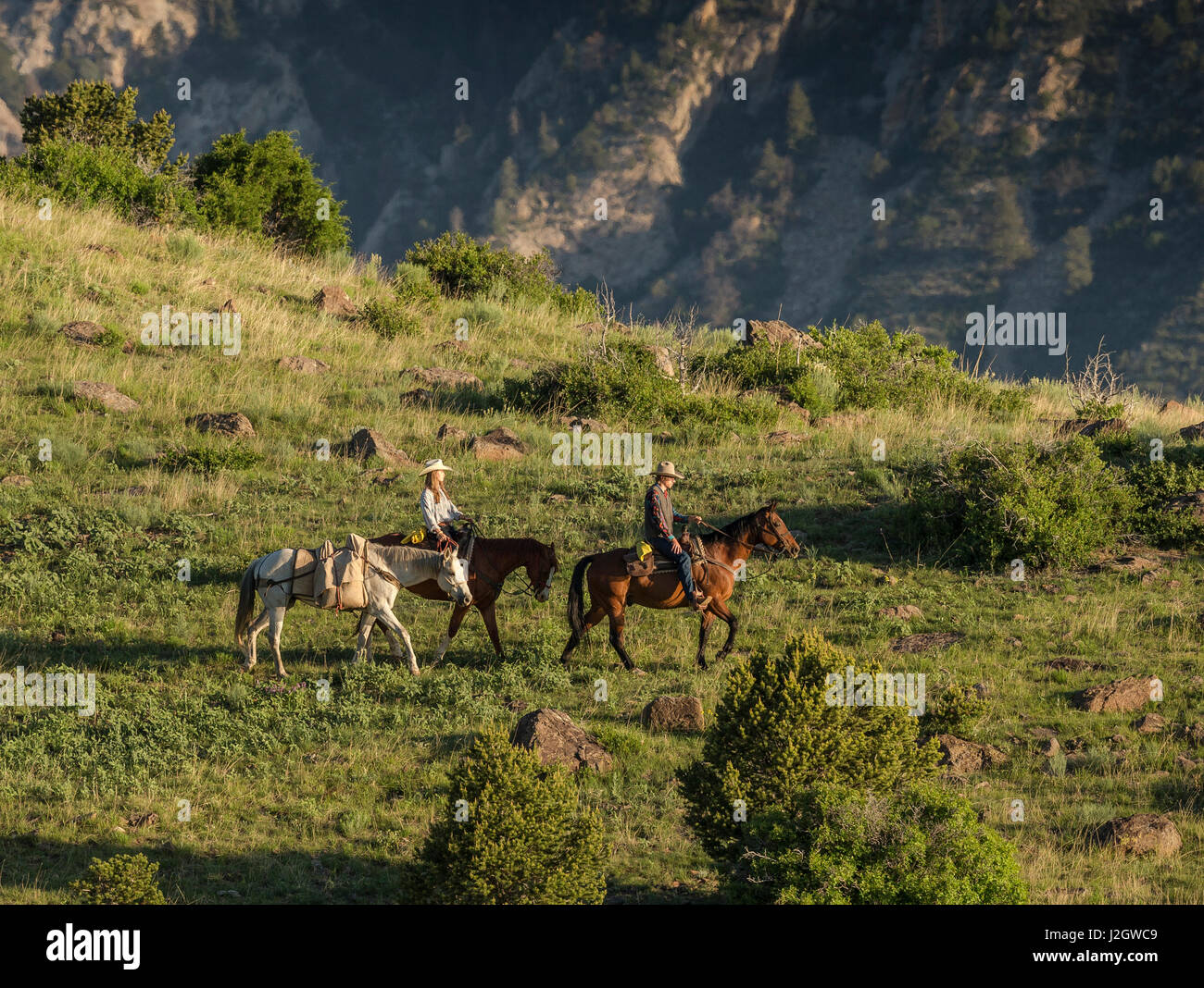 Head Wrangler, Jacob Painter, Yvonne Skrzypczak with packhorse, Sam