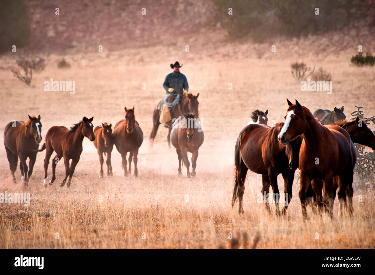 Ranch in mexico hi-res stock photography and images - Alamy