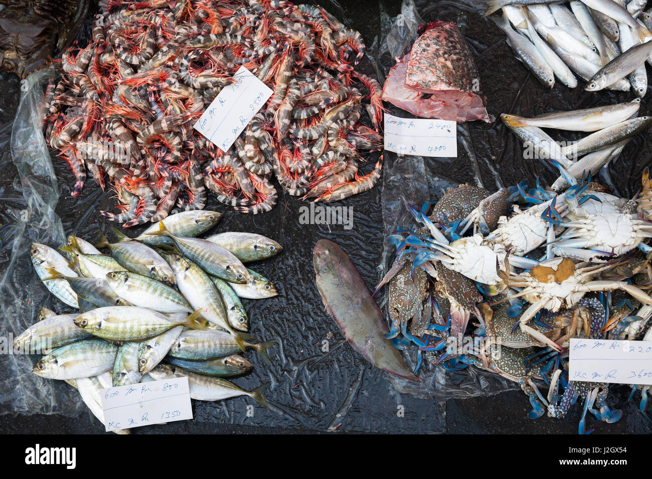 Seafood on the ground at the wet market of George Town, Penang, Malaysia. Stock Photo