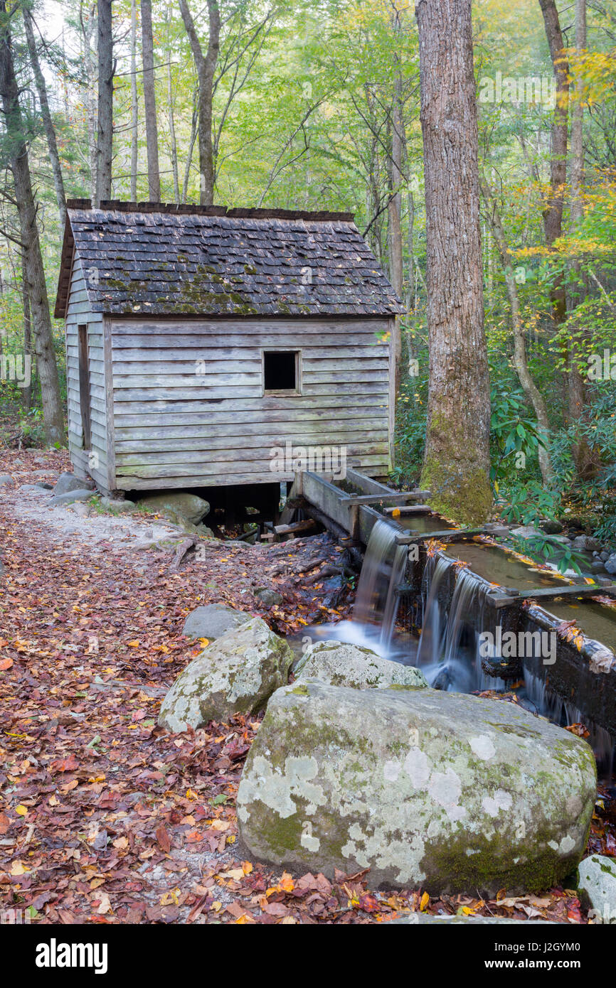Tennessee, Great Smoky Mountains National Park, Roaring Fork Motor Nature Trail, Alfred Reagan