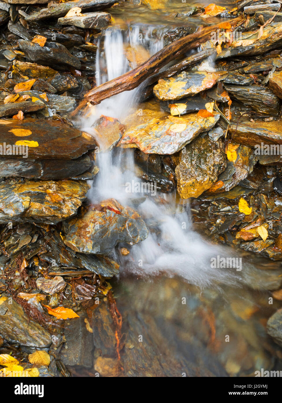 Tennessee, Great Smoky Mountains National Park, stream along Alum Cave Bluffs trail Stock Photo