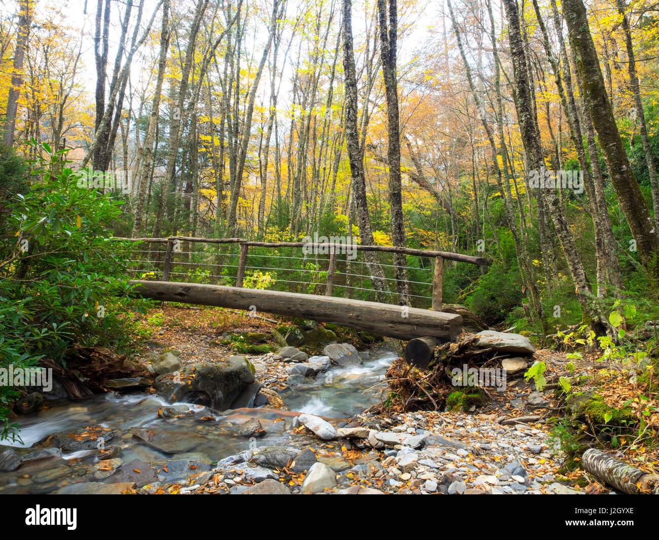 Tennessee, Great Smoky Mountains National Park, Alum Cave Bluffs trail along Alum Cave Creek Stock Photo