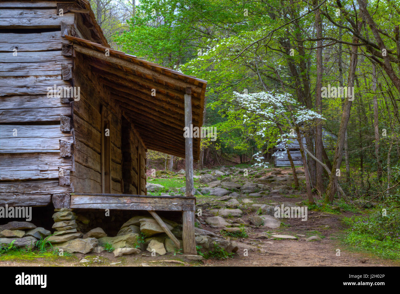 Usa Tennessee Historic Cabin At Roaring Fork Motor Nature Trail