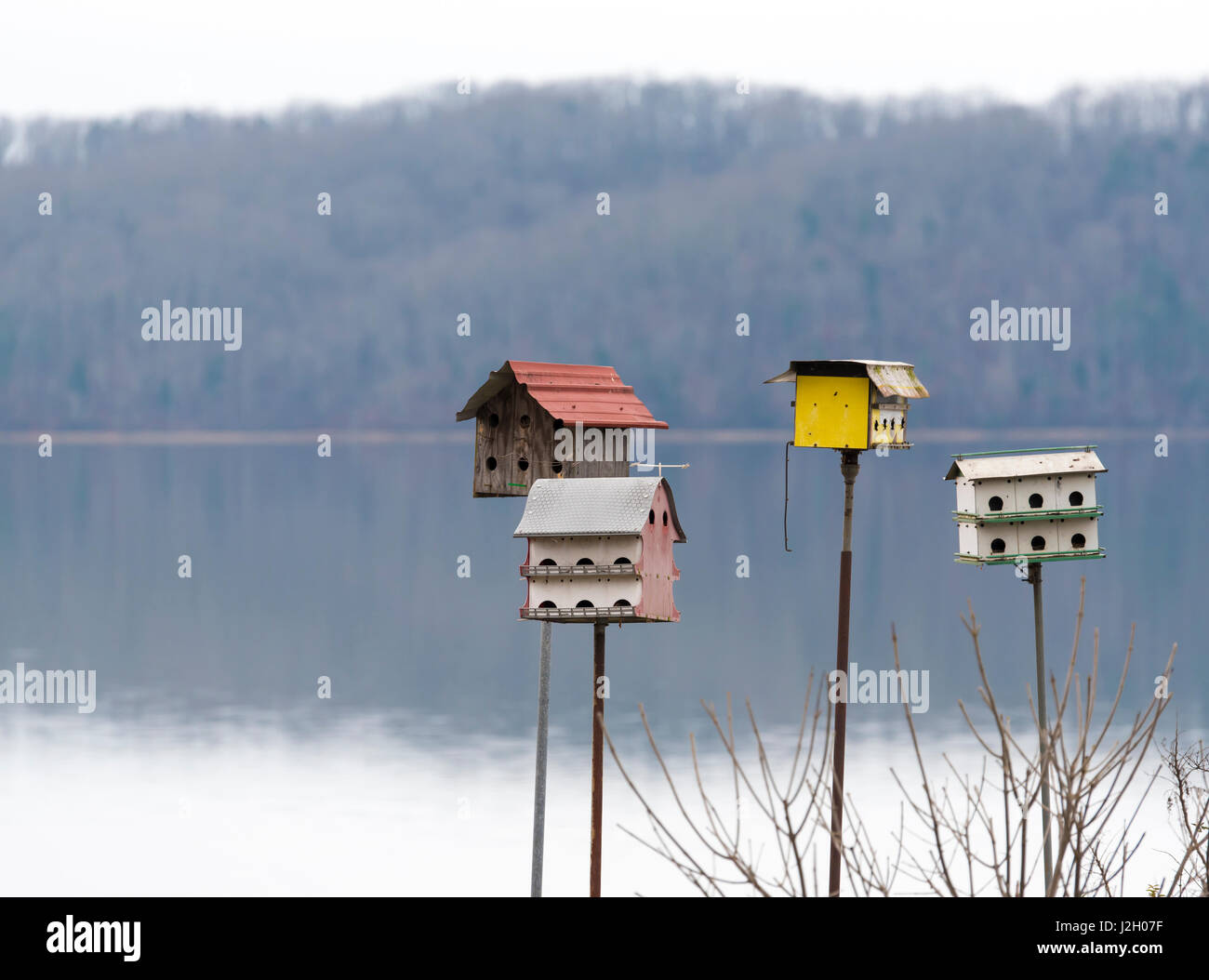 Tennessee whimsical martin houses made from hires stock photography