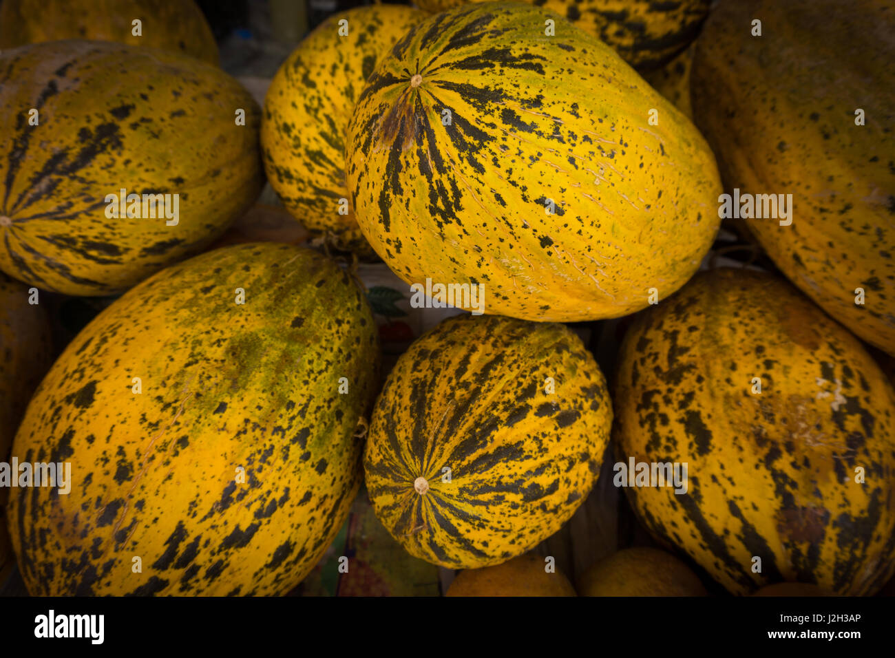 melons on the market. Ripe yellow melons Stock Photo - Alamy