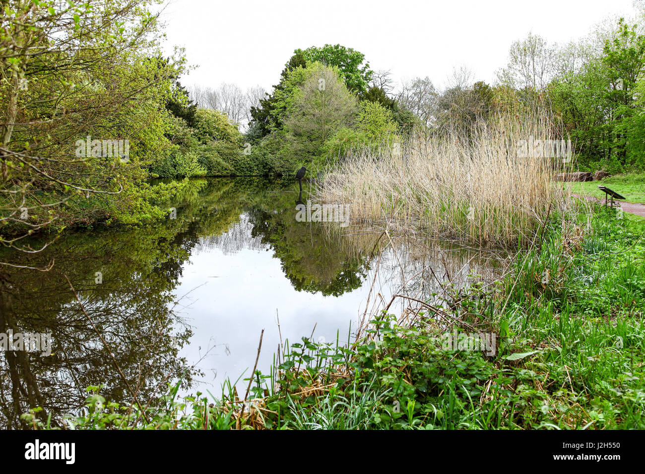 The Wolseley Centre, Staffordshire Wildlife Trust’s HQ at Wolseley