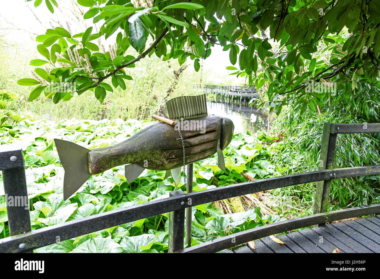 A musical fish on the boardwalk at the Wolseley Centre, Staffordshire