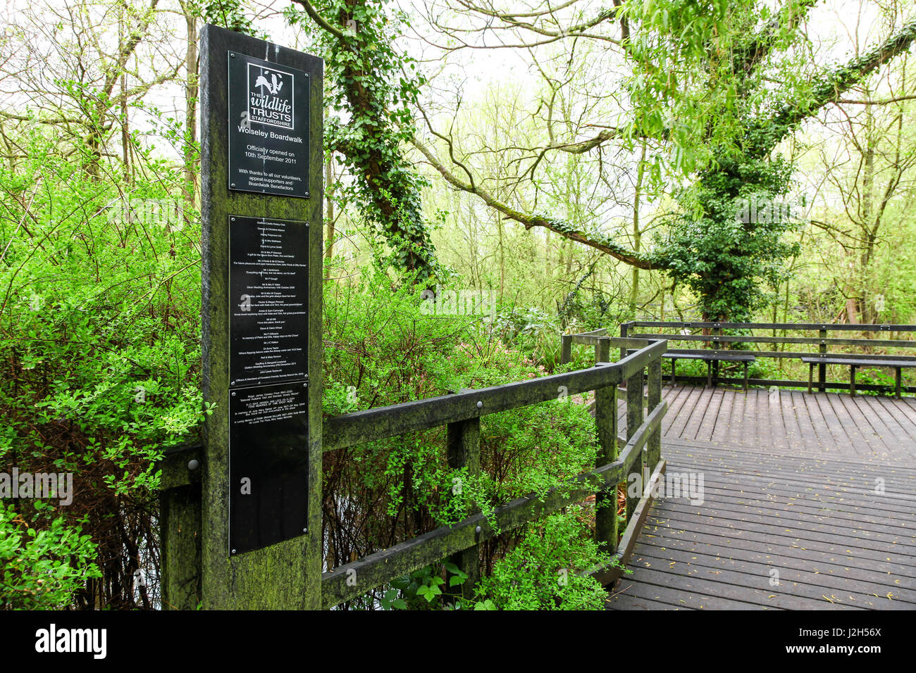 The elevated boardwalk at the Wolseley Centre, Staffordshire Wildlife