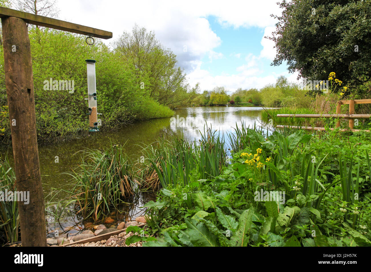 The Wolseley Centre, Staffordshire Wildlife Trust’s HQ at Wolseley