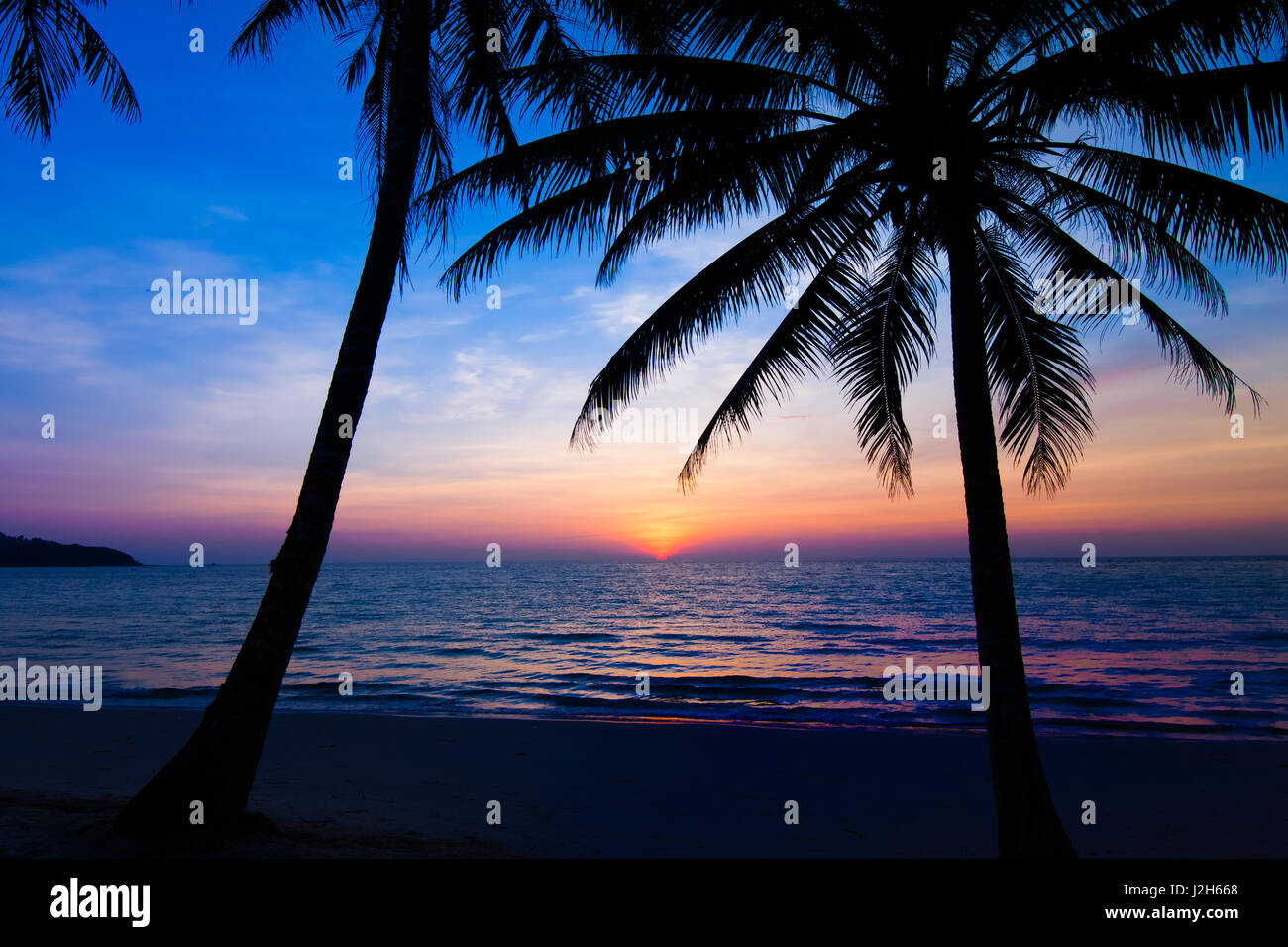 sunset on the beach. Palm trees silhouette on sunset tropical beach ...