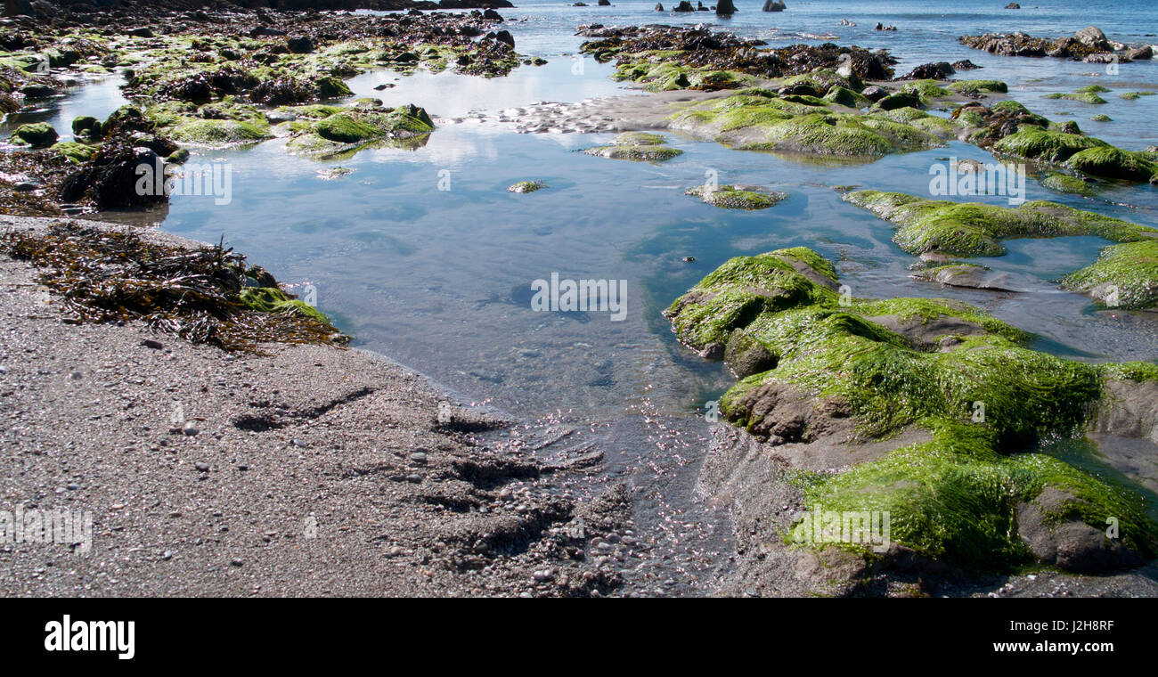 Spring landscapes looking across South East Cornwall, UK Stock Photo ...