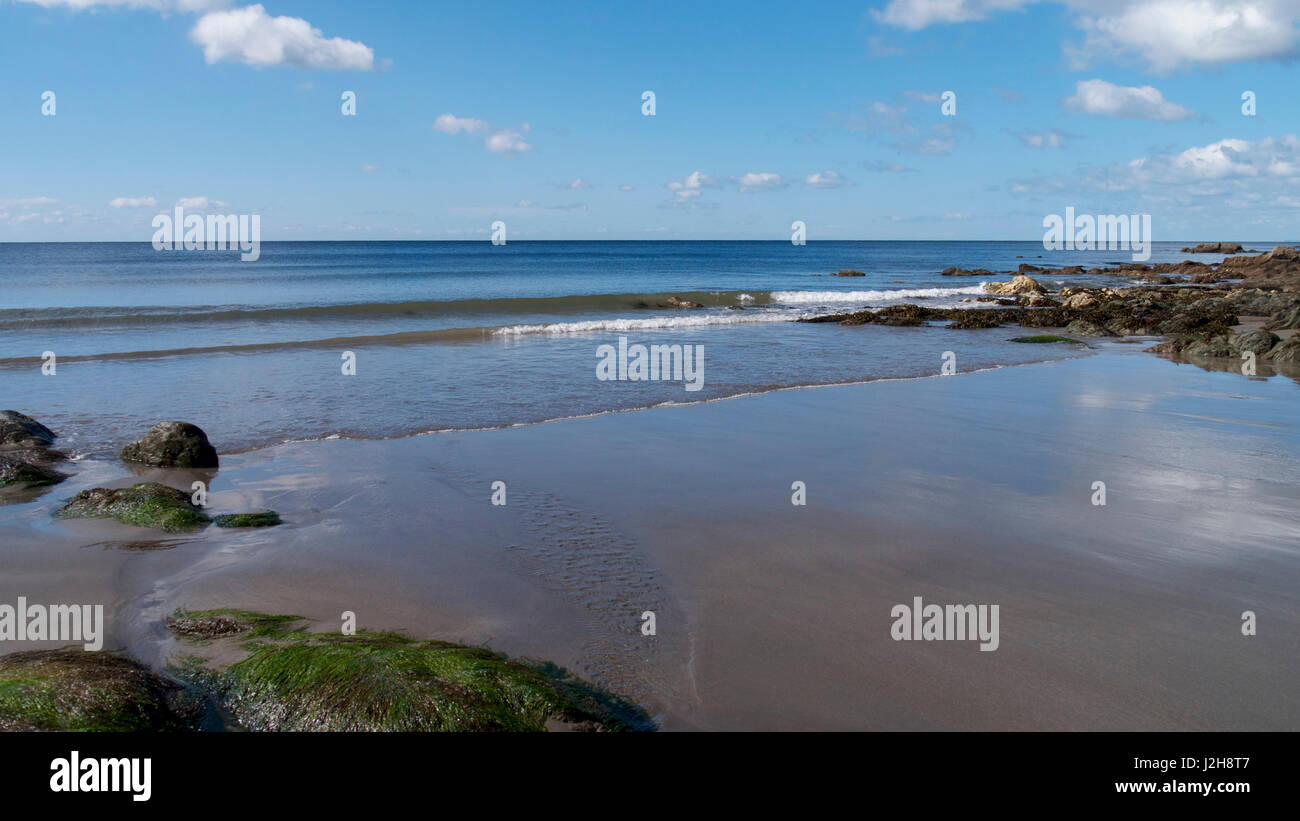 Spring landscapes looking across South East Cornwall, UK Stock Photo ...