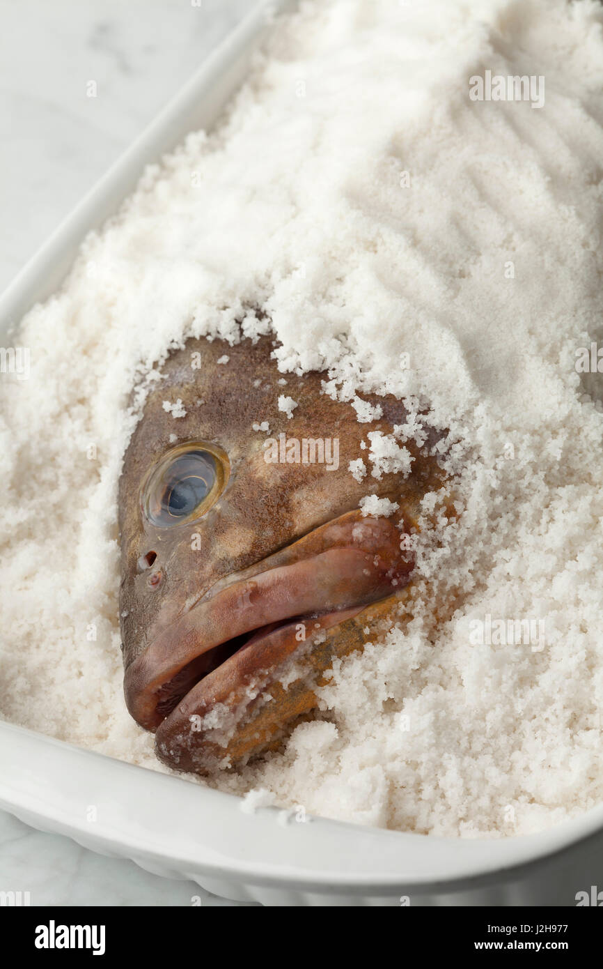 Dusky grouper fish in sea salt to make a salt crust Stock Photo