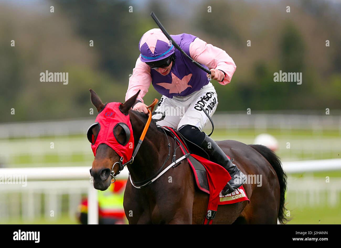 Definite Ruby ridden by Jockey Jack Kennedy clears the last fence on his way to winning the Hanlon Concrete E.B.F. Glencarraig Lady Mares Handicap Chase during day four of the Punchestown Festival in Naas, Co. Kildare. Stock Photo