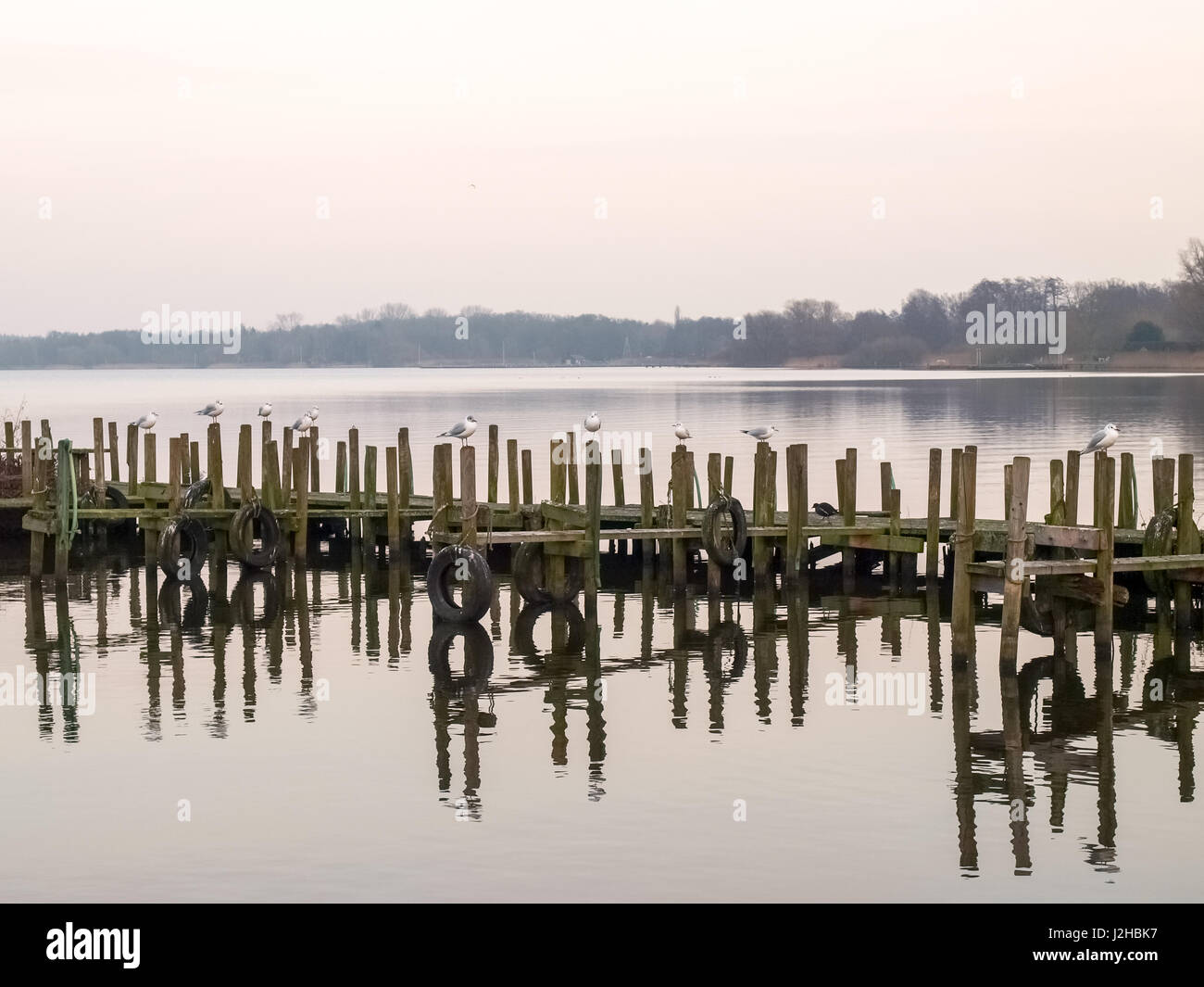 Bad Zwischenahn, Germany. Image of the evening in the winter from the lakefront with a slight haze in the distance. Stock Photo