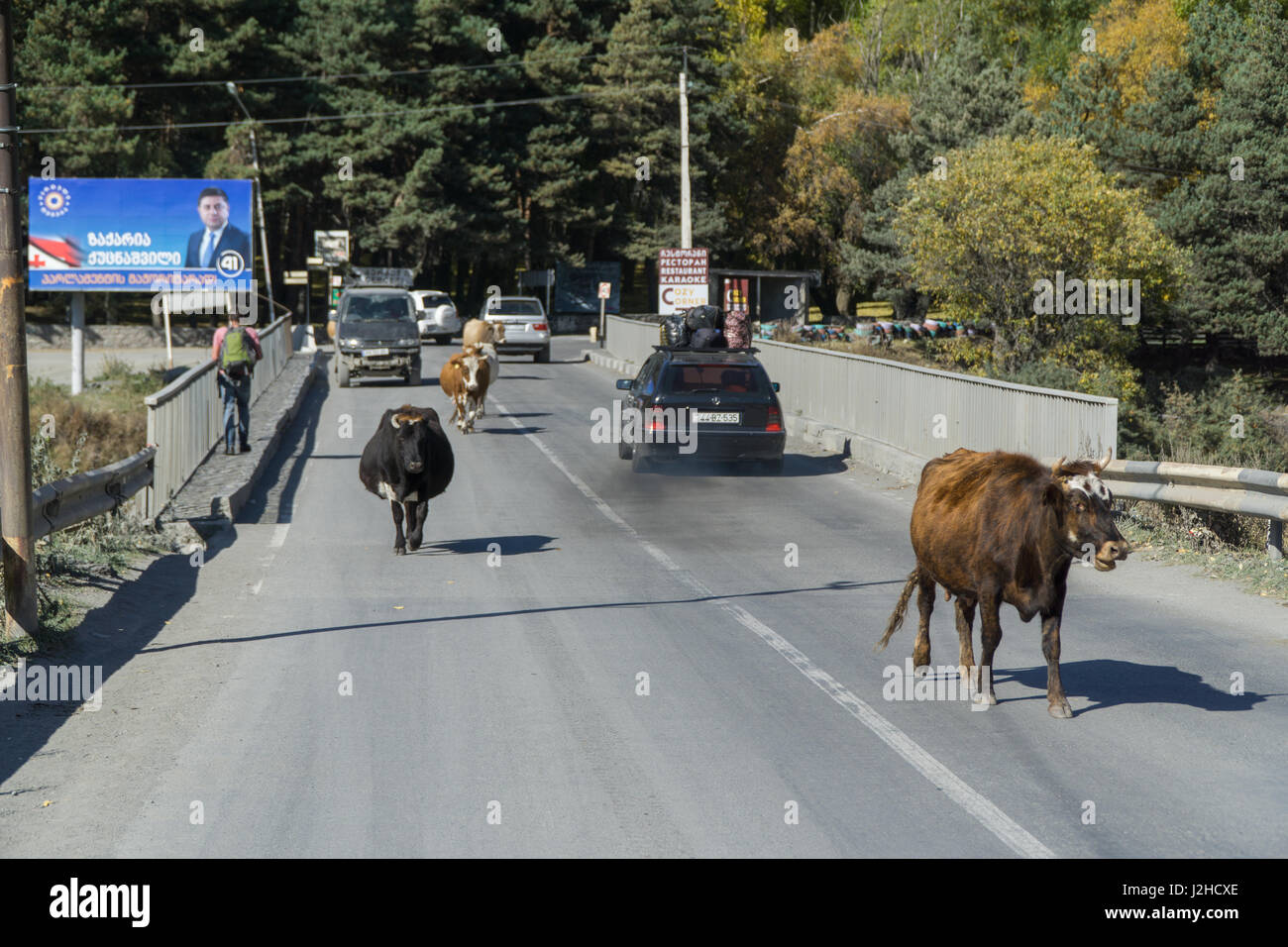 The bridge in the town of Stepantsminda, on which there are people, cows, riding cars Stock Photo
