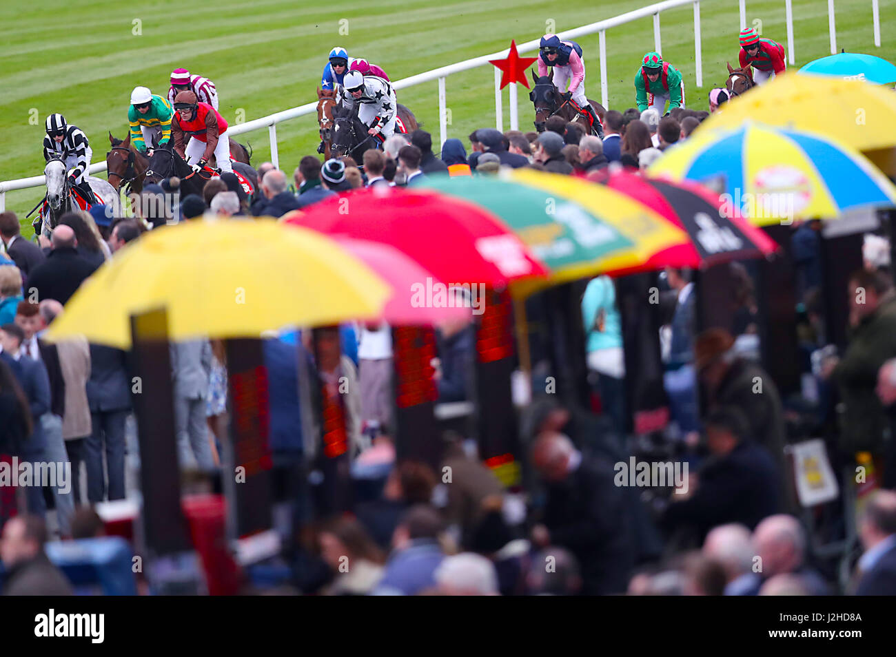Runner and riders pass the main stand during Star Best For Racing Coverage Champion Hunters