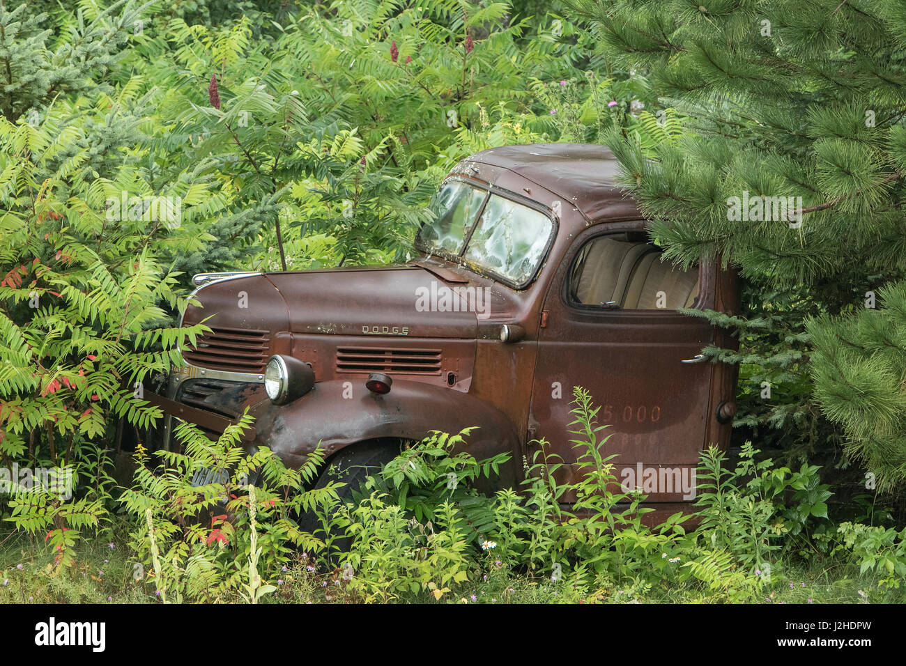 Old abandoned truck, Hinckley, Minnesota Stock Photo Alamy