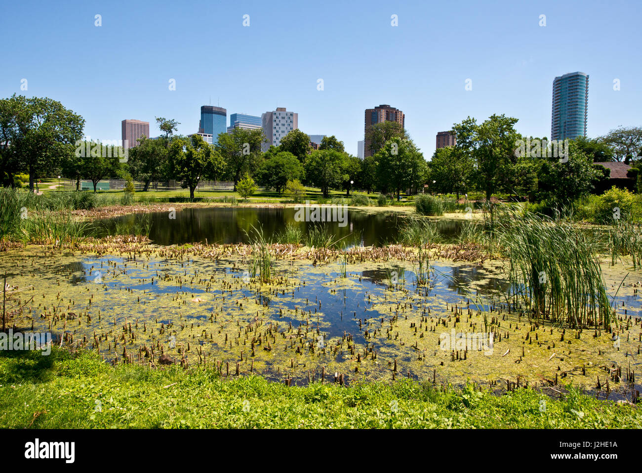 Minnesota, Minneapolis Skyline from Loring Park Stock Photo Alamy