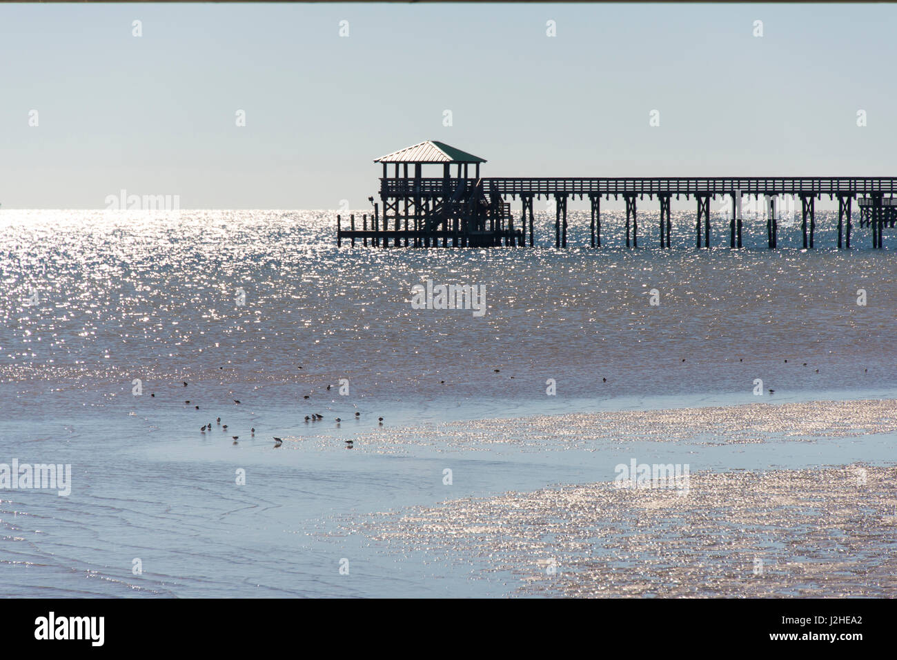 US, MS, Bay St Louis. Shorebirds and pier seen from marina. All newly built after devastation of Hurricane Katrina in 2005 Stock Photo