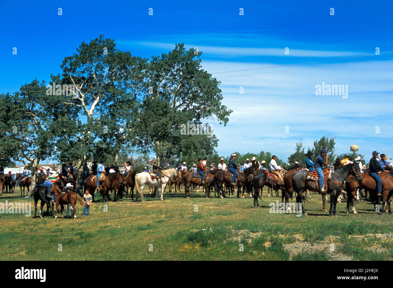 Mt Riders Background Line horses riders standing hi-res stock photography and images - Alamy