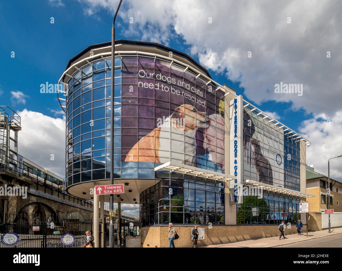 Battersea Dogs and Cats Home, London, UK. Stock Photo