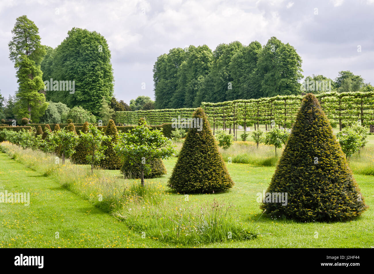 Erddig Hall gardens, Wrexham, Wales, UK. Clipped yew topiary in the restored garden Stock Photo