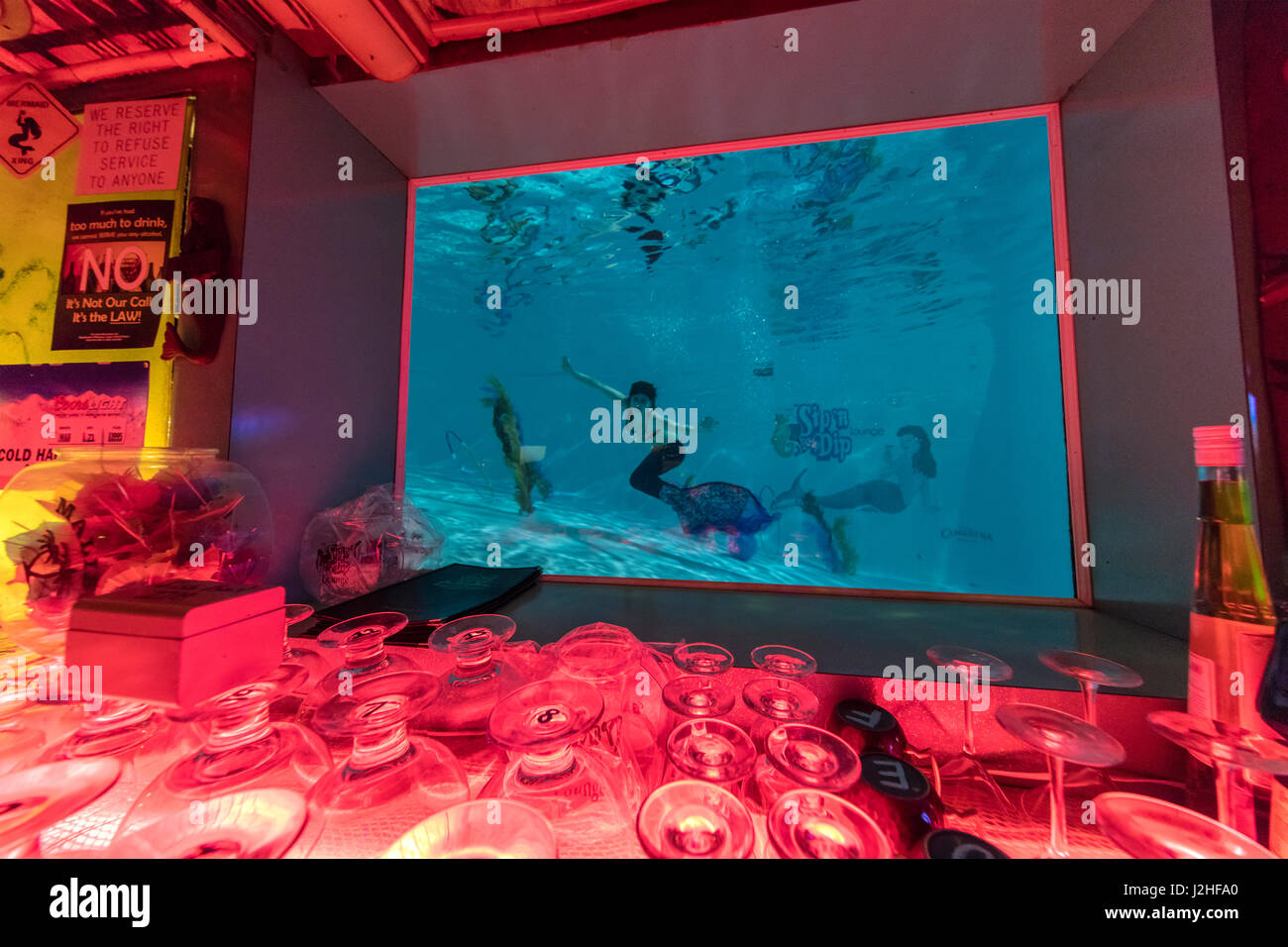 Mermaid swims in pool at the Sip and Dip Tiki Bar in Great Falls