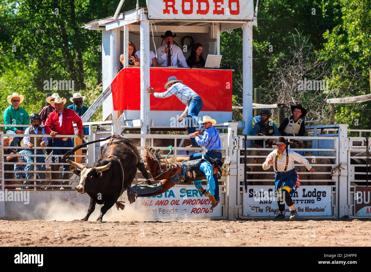 Augusta rodeo hires stock photography and images Alamy