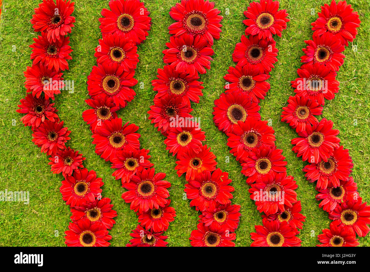 New York City, NY, USA. Floral displays for spring Stock Photo Alamy
