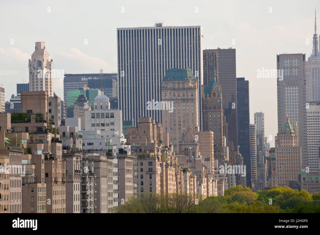 Midtown Manhattan and trees of Central Park, New York, USA Stock Photo