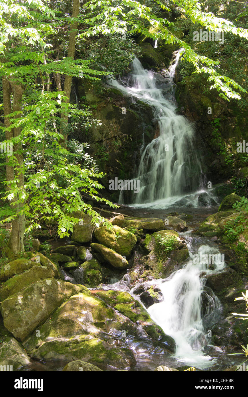 USA, North Carolina, Great Smoky Mountains National Park is UNESCO