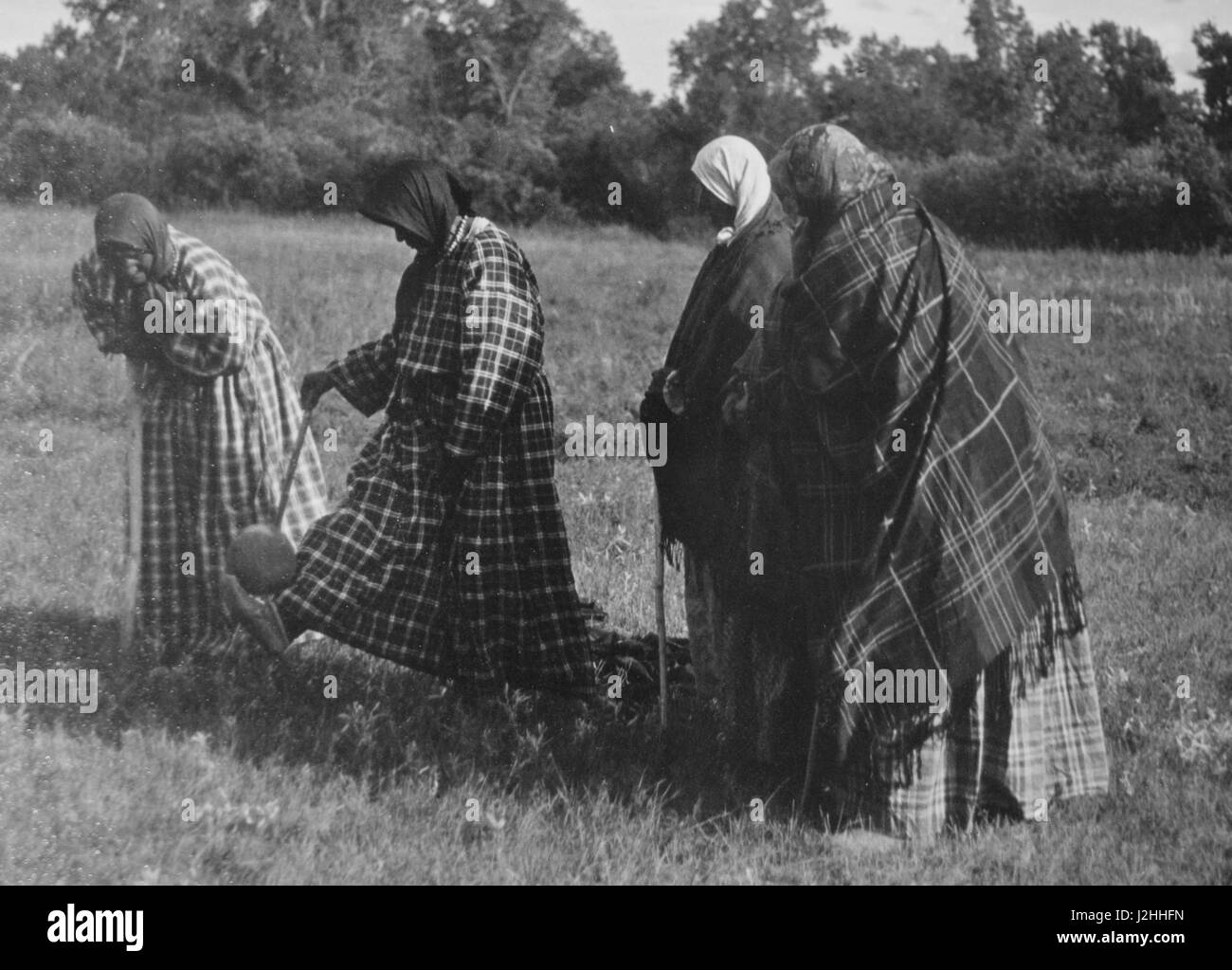 Historic photograph of Mandan and Hidatsa women playing a ladies ball game using game ball and sticks Stock Photo